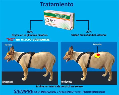 fármacos para cushing en perros